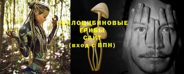 гидропоника Абинск