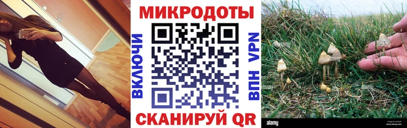Псилоцибиновые грибы мицелий  Нижняя Тура 
